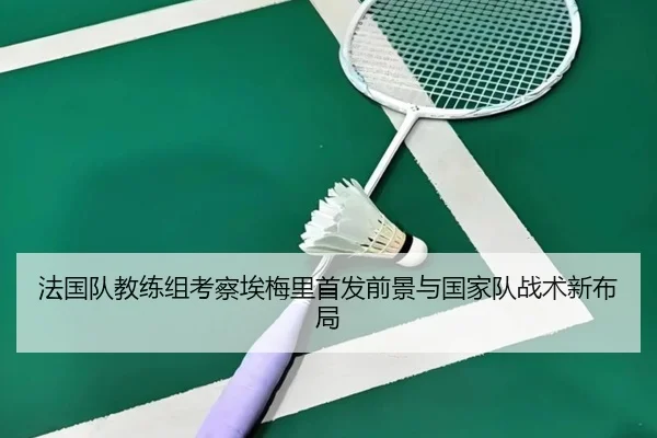 法国队教练组考察埃梅里首发前景与国家队战术新布局