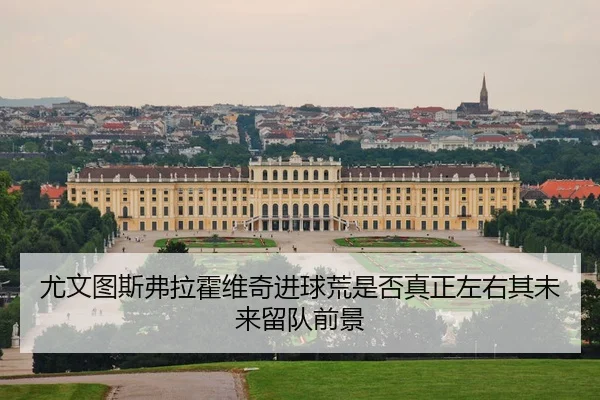 尤文图斯弗拉霍维奇进球荒是否真正左右其未来留队前景
