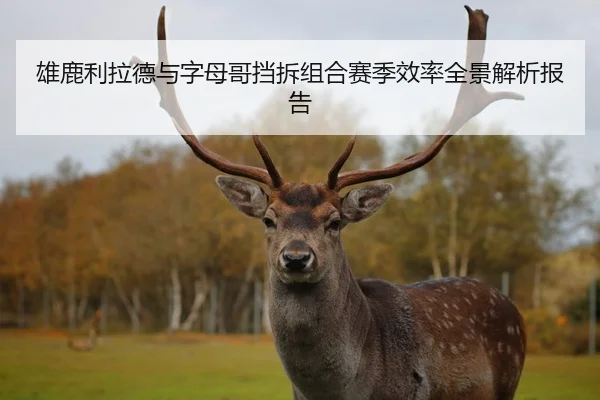雄鹿利拉德与字母哥挡拆组合赛季效率全景解析报告